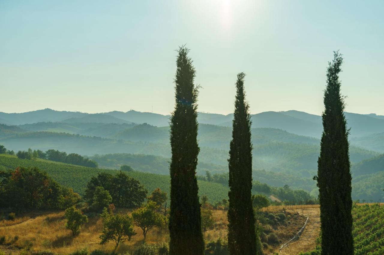 Celle Di Lecchi Nel Chianti Villa