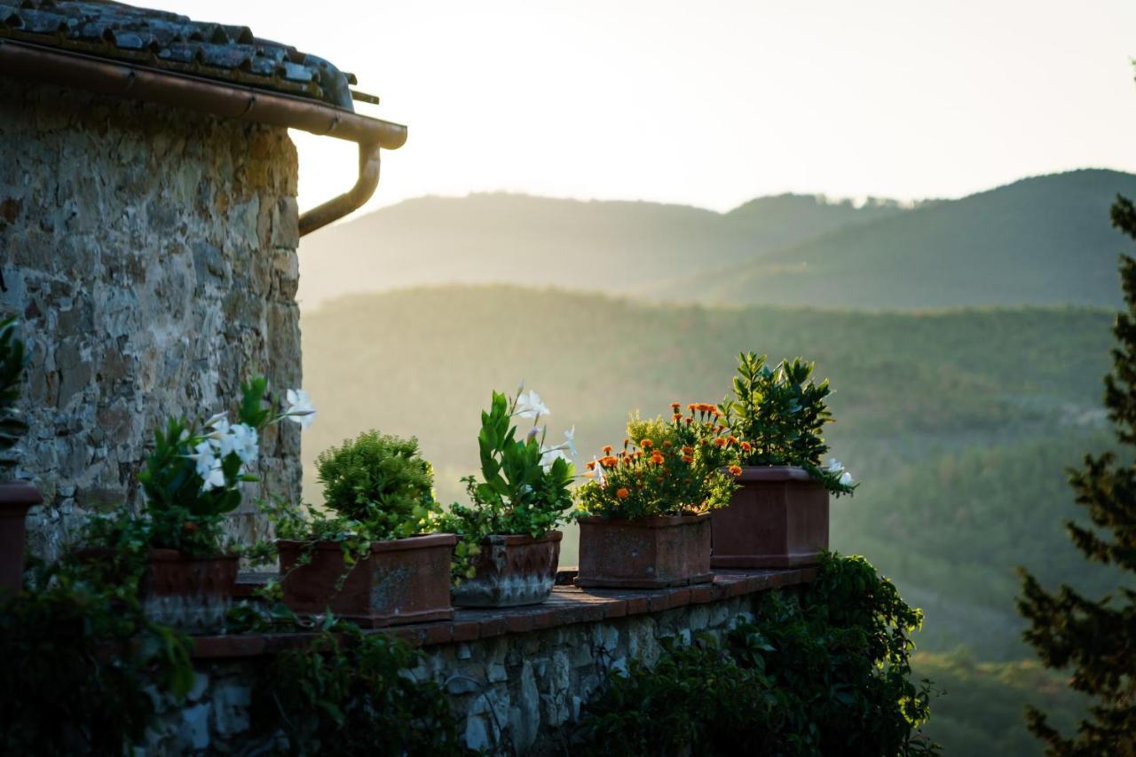 Celle Di Lecchi Nel Chianti *