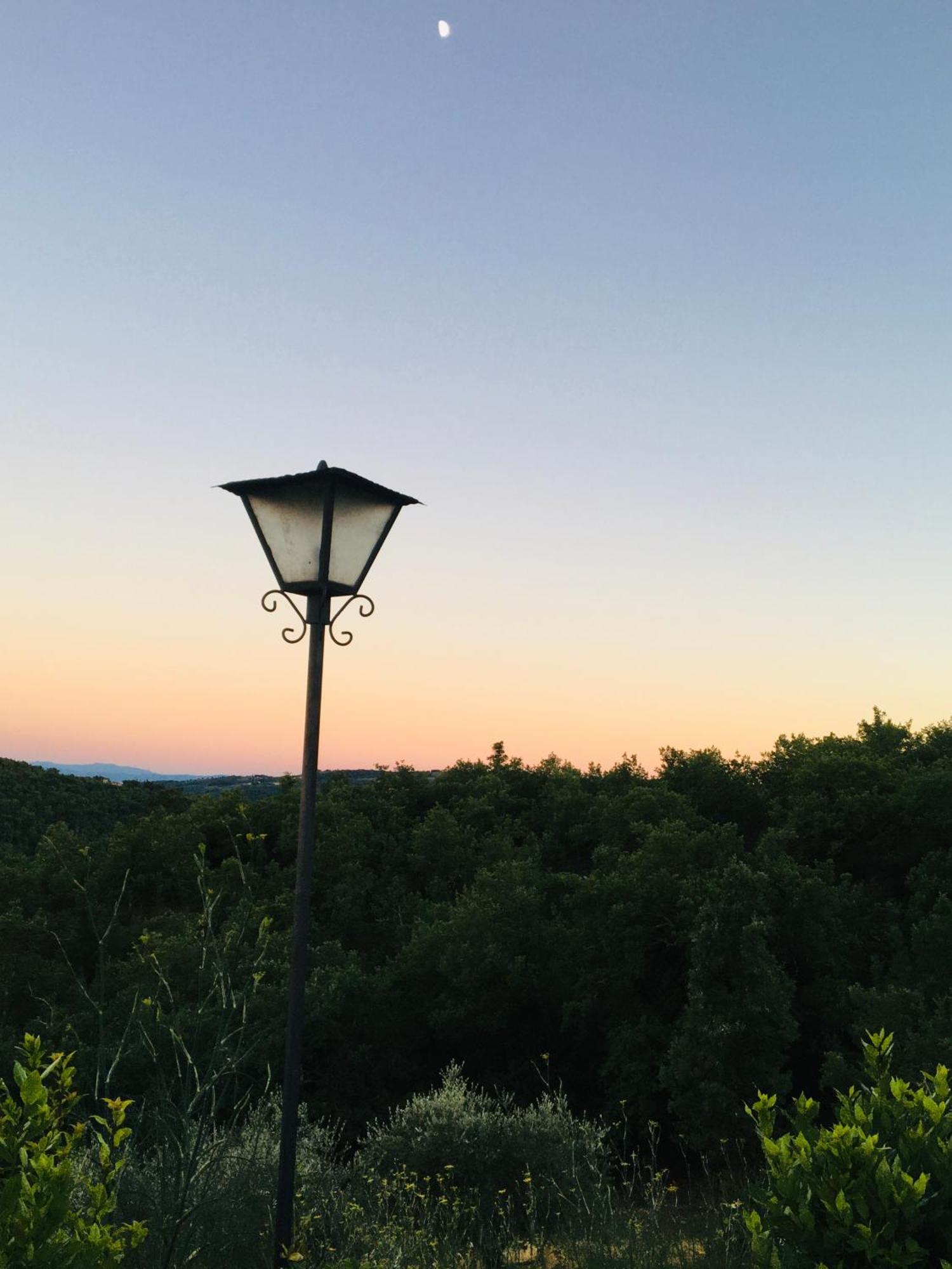 Celle Di Lecchi Nel Chianti Villa